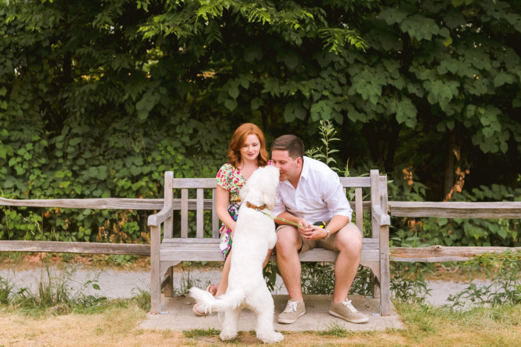 Erin Schmidt Photography | Ann Arbor engagement session in the fall | Metro Detroit Wedding Photographer
