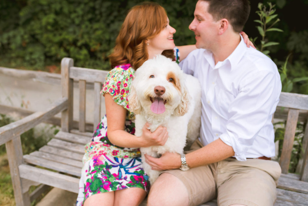 Erin Schmidt Photography | Ann Arbor engagement session in the fall | Metro Detroit Wedding Photographer