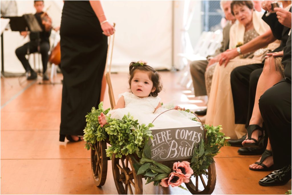 Erin Schmidt Photography | summertime DAC wedding | Metro Detroit wedding photographer