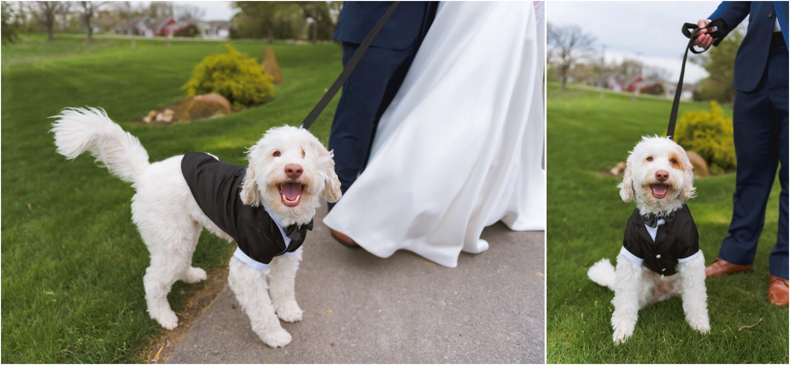 Erin Schmidt Photography | spring Cornman Farms wedding | Metro Detroit wedding photographer | Cornman Farms wedding photos