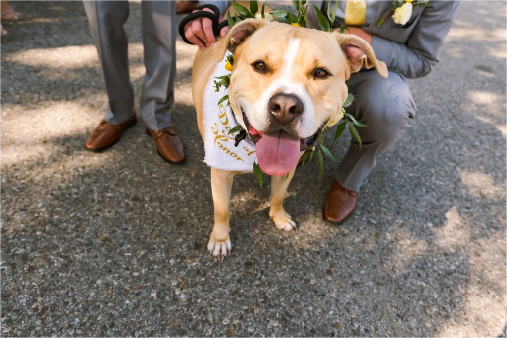 Erin Schmidt Photography | Metro Detroit wedding photographer | Whiskey Factory wedding