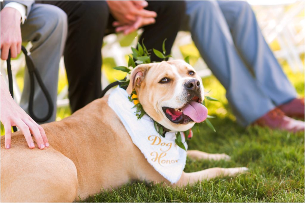 Erin Schmidt Photography | Metro Detroit wedding photographer | Whiskey Factory wedding