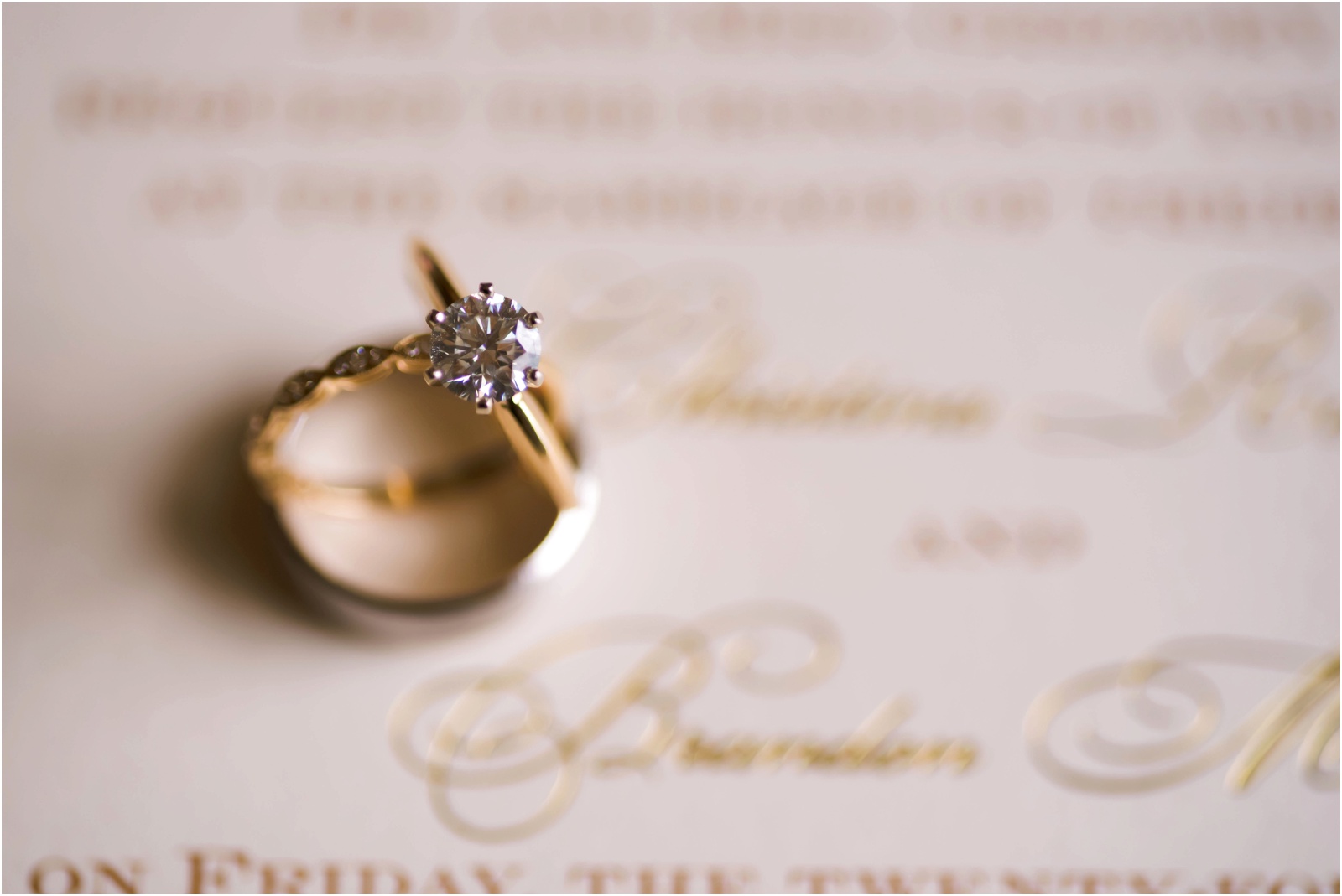 Erin Schmidt Photography | spring Inn at St. John's wedding | Metro Detroit wedding photographer