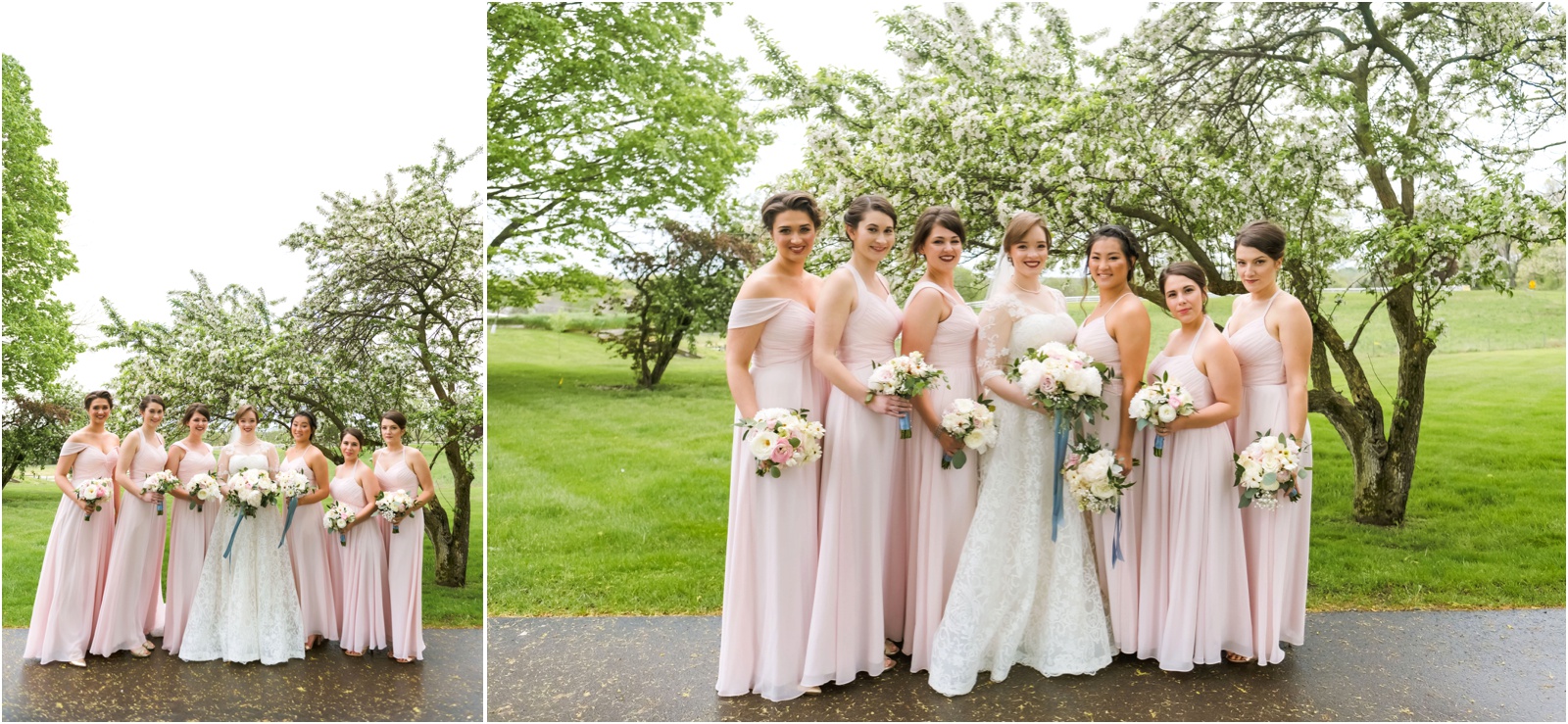 Erin Schmidt Photography | Metro Detroit wedding photographers | spring Cornman Farms wedding