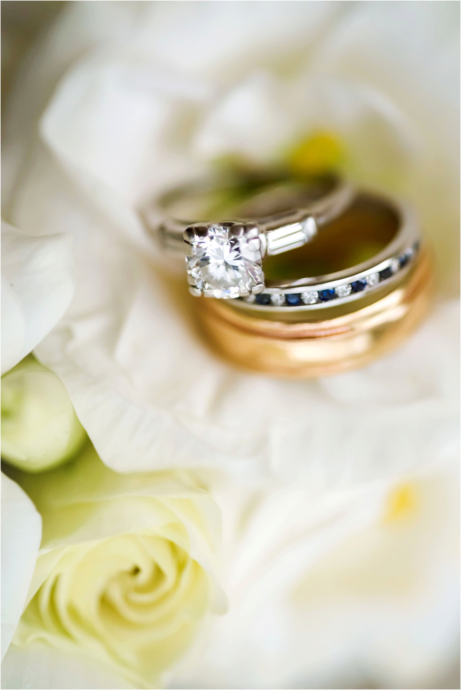Erin Schmidt Photography | Metro Detroit wedding photographers | spring Cornman Farms wedding